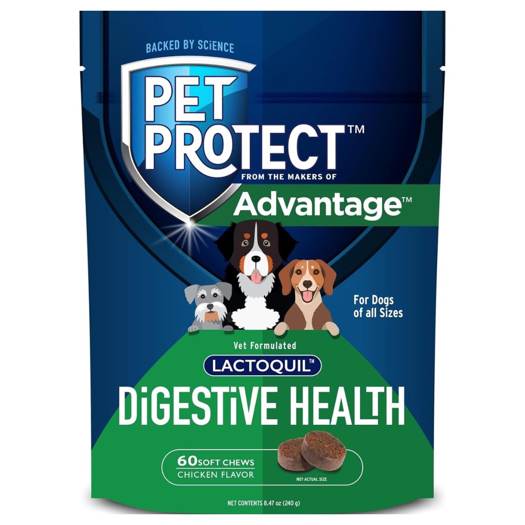 Advantage II Large Dog Flea Treatment (21-55 lbs, 4 Doses) + Pet Protect Digestive Health Chews (60 Count) Bundle