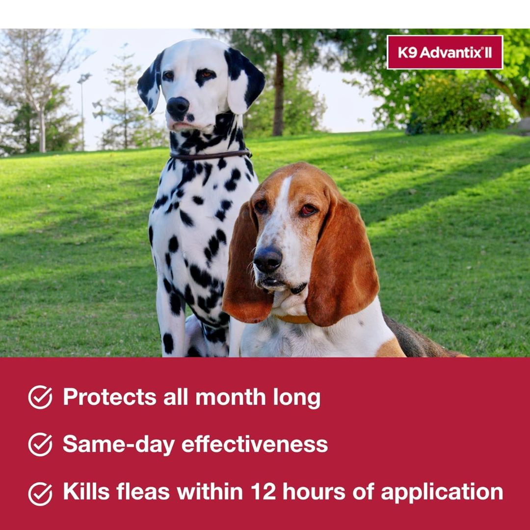VEZmora K9 Advantix II Flea, Tick & Mosquito Treatment for Small Dogs (4-10 lbs) – 6 Doses