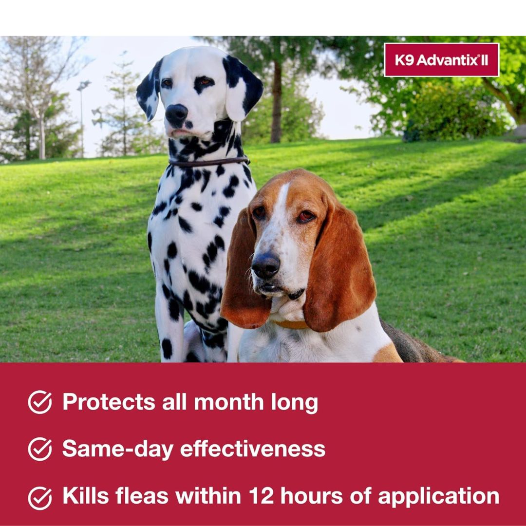 VEZmora K9 Advantix II Flea, Tick & Mosquito Treatment for Extra Large Dogs (Over 55 lbs) – 6 Doses