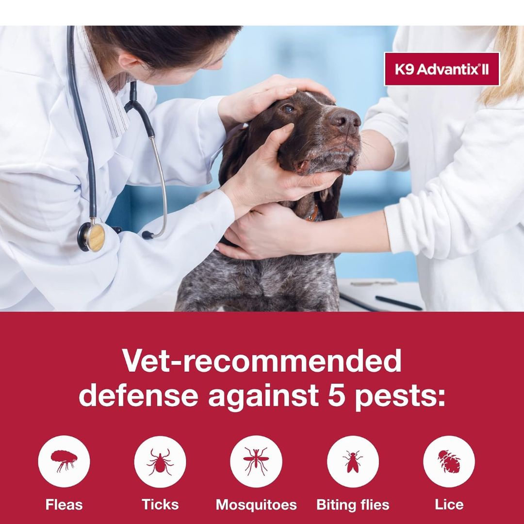 VEZmora K9 Advantix II Flea, Tick & Mosquito Treatment for Extra Large Dogs (Over 55 lbs) – 6 Doses