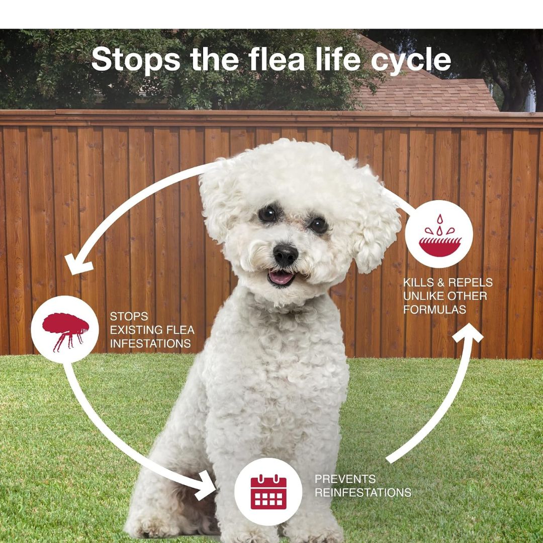 VEZmora K9 Advantix II Flea, Tick & Mosquito Treatment for Small Dogs (4-10 lbs) – 6 Doses