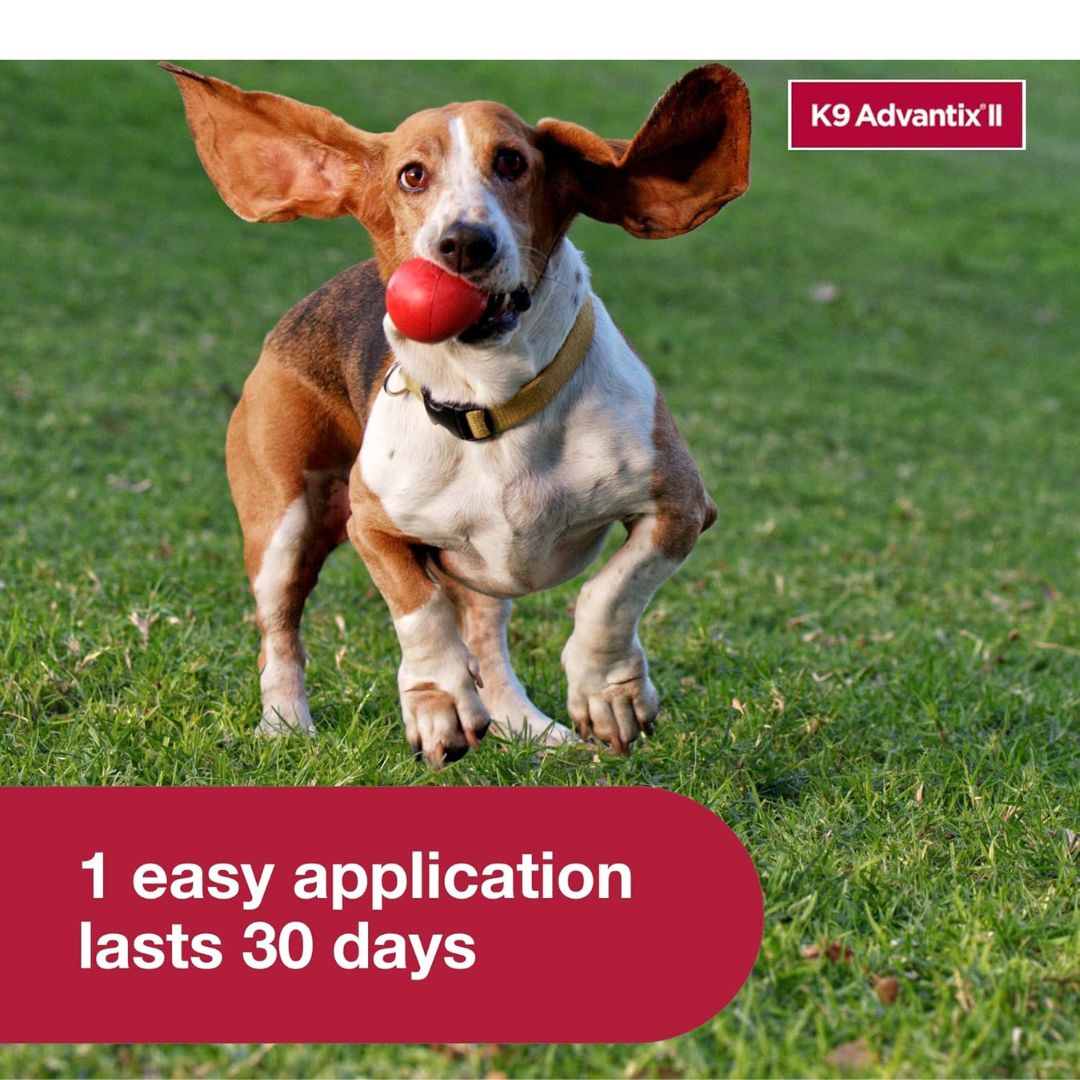 VEZmora K9 Advantix II Flea, Tick & Mosquito Treatment for Small Dogs (4-10 lbs) – 6 Doses