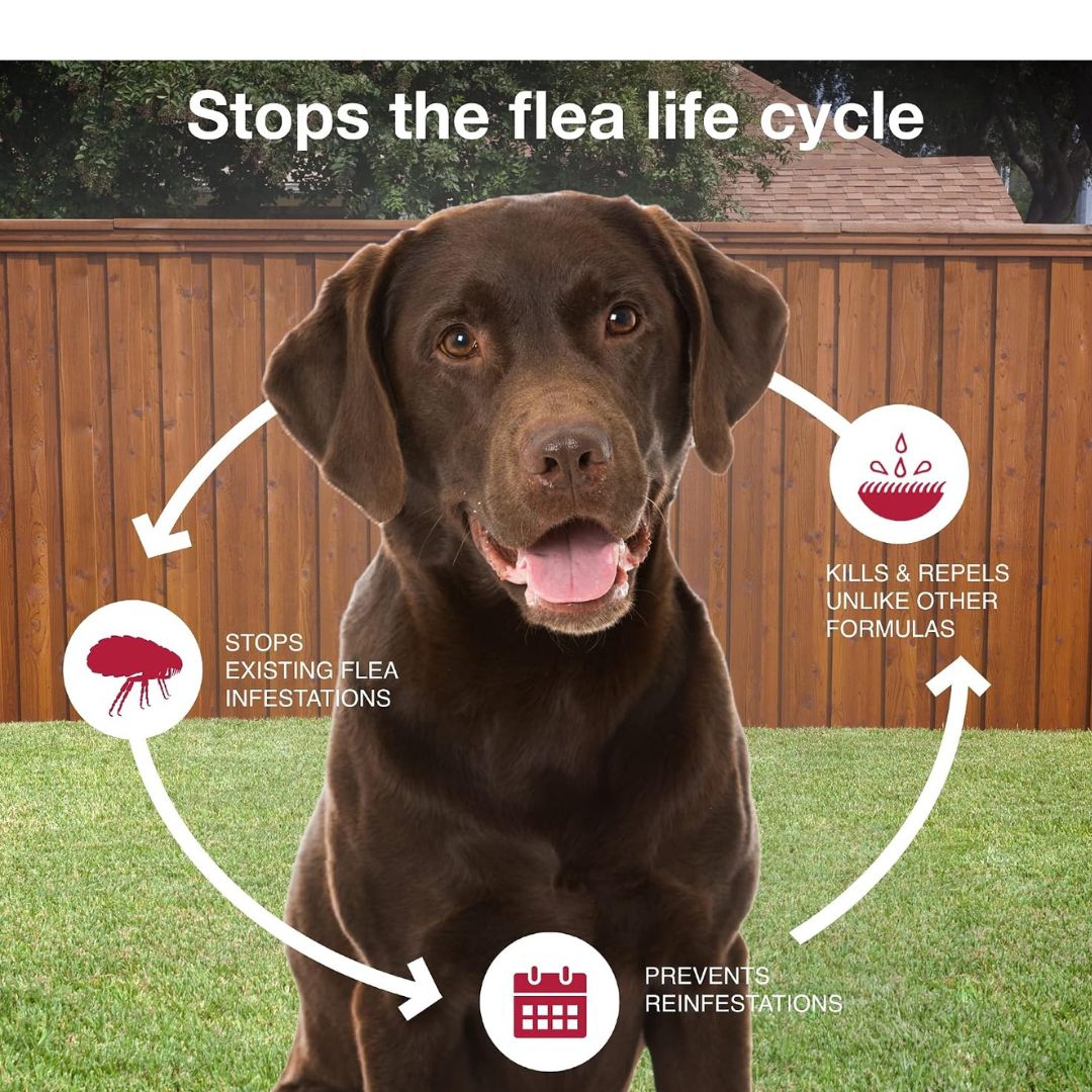 VEZmora K9 Advantix II Flea, Tick & Mosquito Treatment for Extra Large Dogs (Over 55 lbs) – 6 Doses
