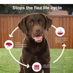 VEZmora K9 Advantix II Flea, Tick & Mosquito Treatment for Extra Large Dogs (Over 55 lbs) – 6 Doses