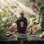 Xerjoff Accento Eau de Parfum - Luxury Fragrance Spray (100 ml / 3.4 Fl Oz) - Vezmora